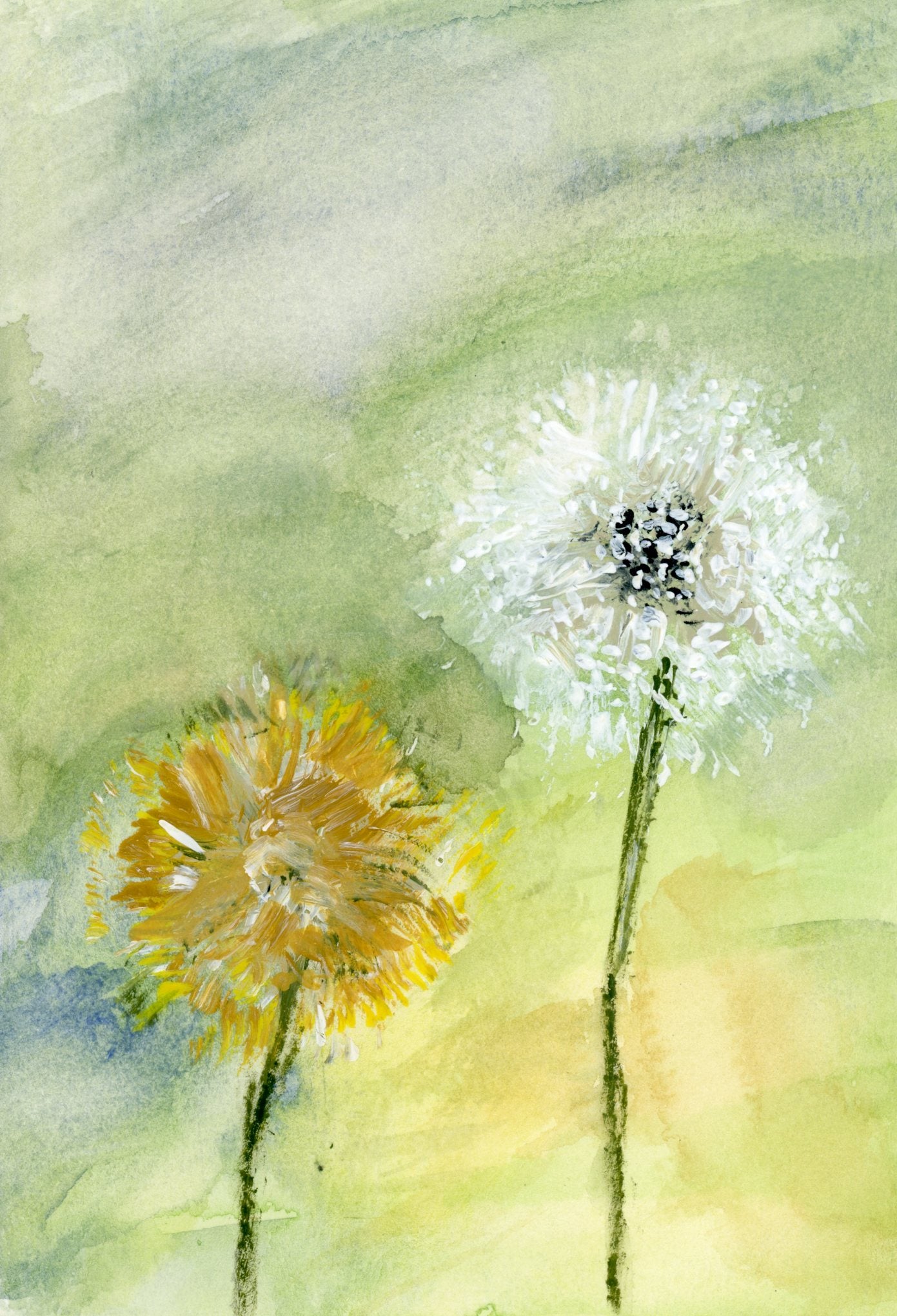 Dandelion 1