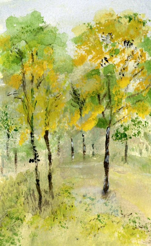 Walk in the Woods