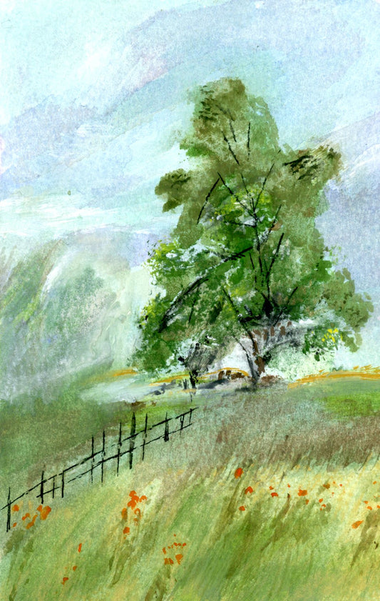 Hill Country