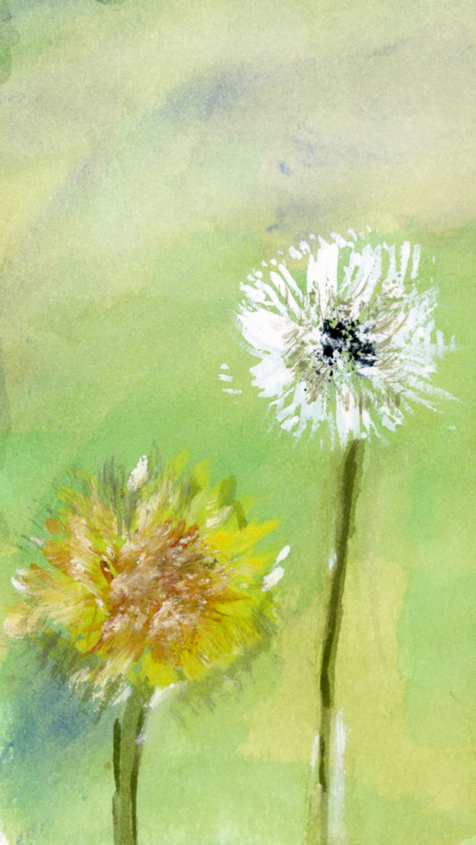 Dandelion 2