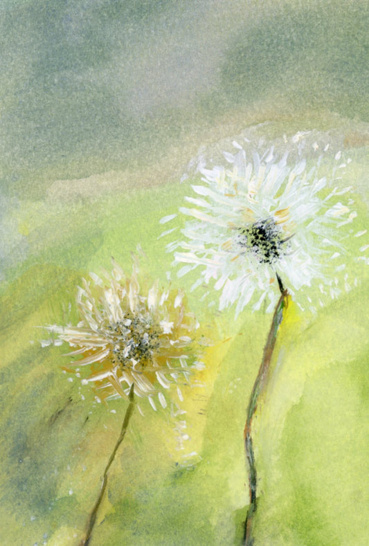 Dandelion 3